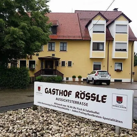 Roessle Inn 3*